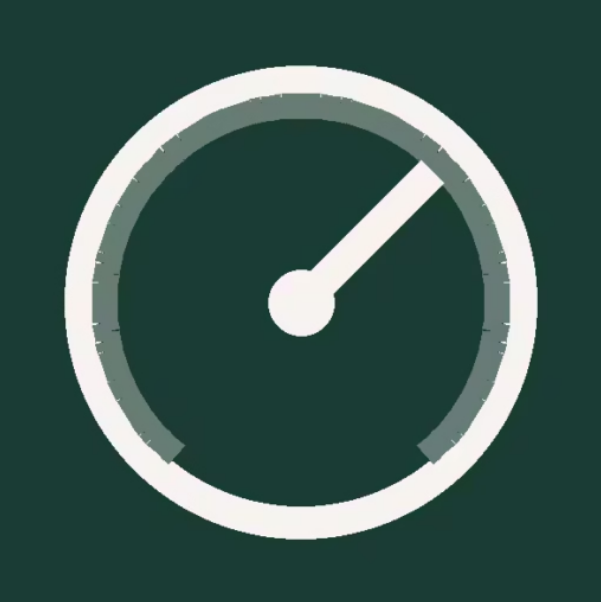 WordPress Speed Optimization logo
