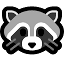 RacoonDR logo